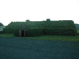 Grass covered Viking restaurant